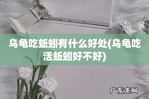 乌龟吃活蚯蚓好不好 乌龟吃蚯蚓有什么好处