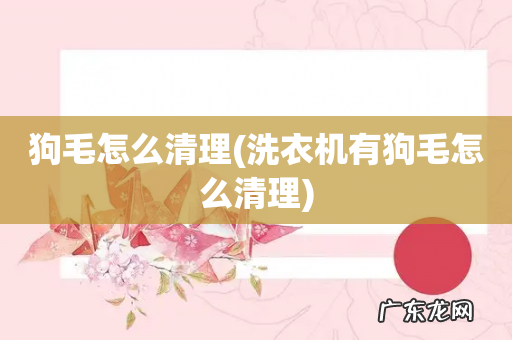 洗衣机有狗毛怎么清理 狗毛怎么清理