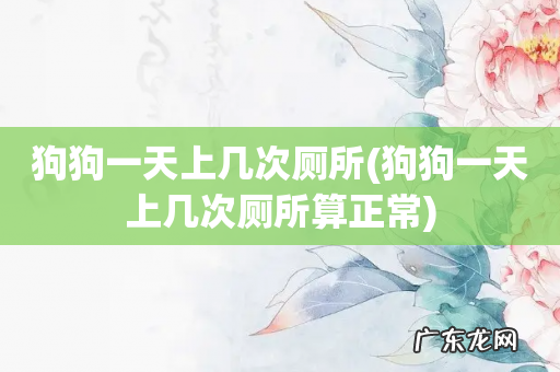 狗狗一天上几次厕所算正常 狗狗一天上几次厕所