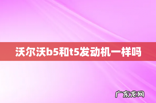 沃尔沃b5和t5发动机一样吗