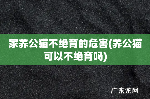 养公猫可以不绝育吗 家养公猫不绝育的危害