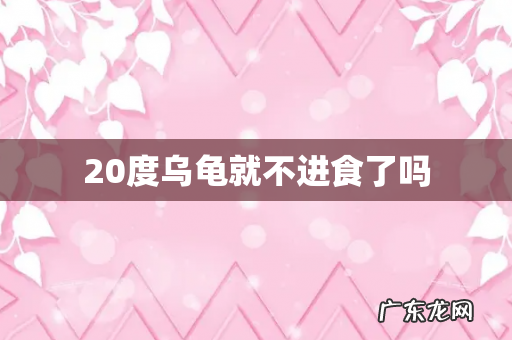 20度乌龟就不进食了吗