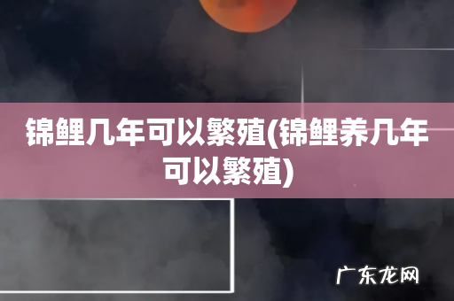 锦鲤养几年可以繁殖 锦鲤几年可以繁殖