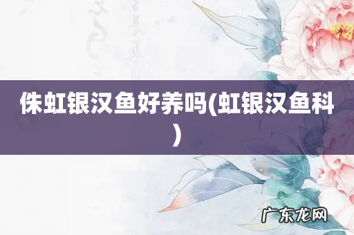 虹银汉鱼科 侏虹银汉鱼好养吗