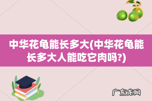 中华花龟能长多大人能吃它肉吗? 中华花龟能长多大