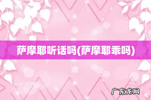 萨摩耶乖吗 萨摩耶听话吗