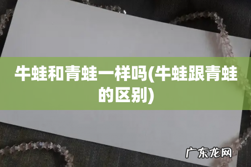 牛蛙跟青蛙的区别 牛蛙和青蛙一样吗