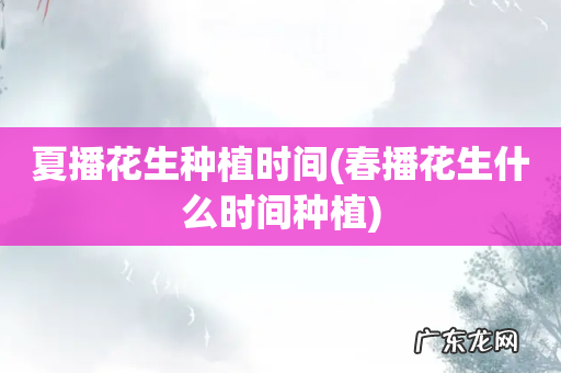 春播花生什么时间种植 夏播花生种植时间