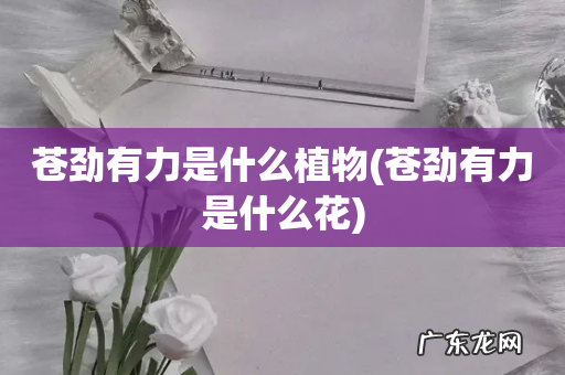 苍劲有力是什么花 苍劲有力是什么植物