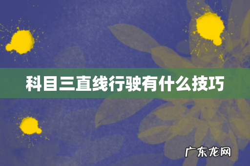 科目三直线行驶有什么技巧