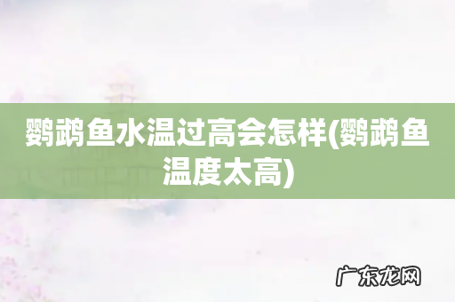 鹦鹉鱼温度太高 鹦鹉鱼水温过高会怎样