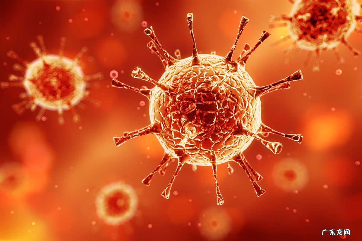 如何提高免疫力的最有效方法