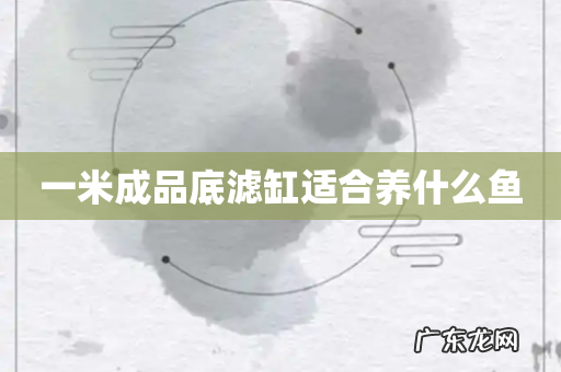 一米成品底滤缸适合养什么鱼