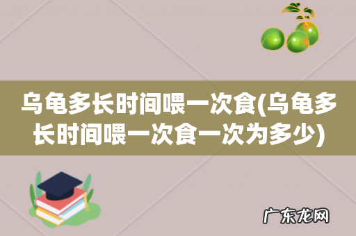 乌龟多长时间喂一次食一次为多少 乌龟多长时间喂一次食