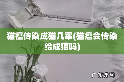 猫瘟会传染给成猫吗 猫瘟传染成猫几率