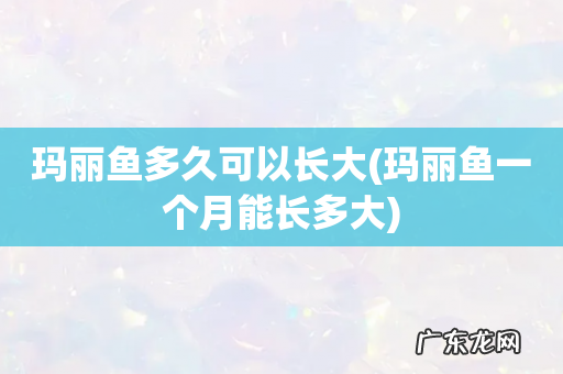 玛丽鱼一个月能长多大 玛丽鱼多久可以长大
