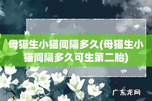 母猫生小猫间隔多久可生第二胎 母猫生小猫间隔多久