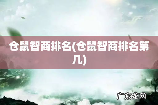 仓鼠智商排名第几 仓鼠智商排名