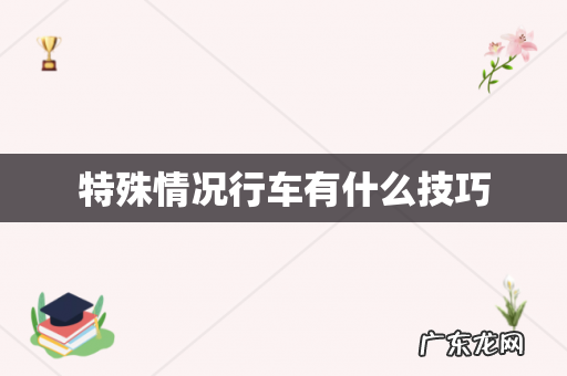 特殊情况行车有什么技巧