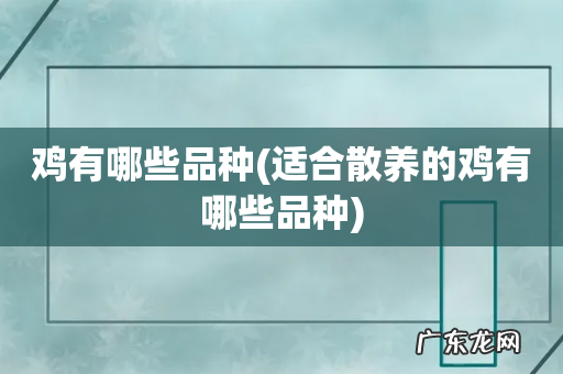 适合散养的鸡有哪些品种 鸡有哪些品种