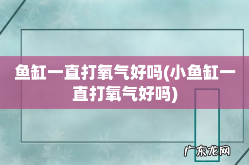 小鱼缸一直打氧气好吗 鱼缸一直打氧气好吗
