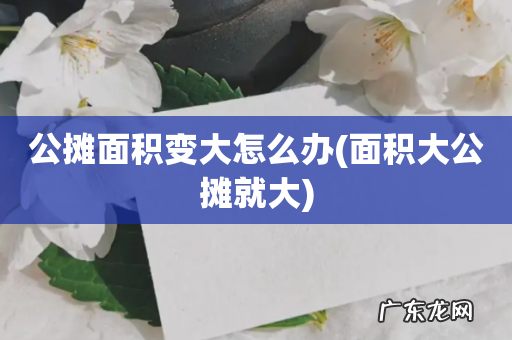 面积大公摊就大 公摊面积变大怎么办