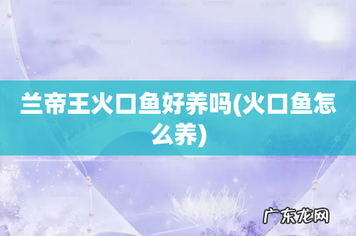 火口鱼怎么养 兰帝王火口鱼好养吗