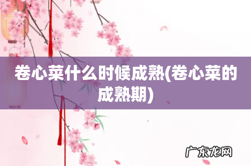 卷心菜的成熟期 卷心菜什么时候成熟