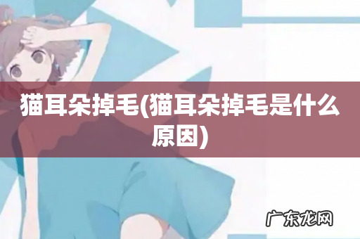 猫耳朵掉毛是什么原因 猫耳朵掉毛