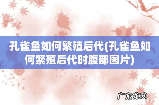 孔雀鱼如何繁殖后代时腹部图片 孔雀鱼如何繁殖后代