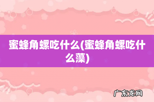 蜜蜂角螺吃什么藻 蜜蜂角螺吃什么