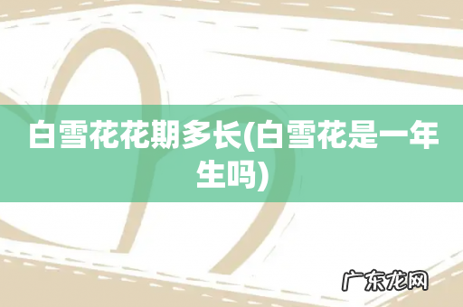 白雪花是一年生吗 白雪花花期多长