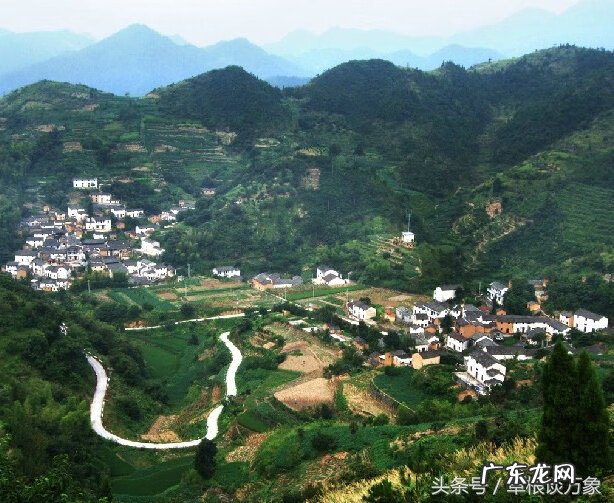 张姓文化和典故 张姓风水大师