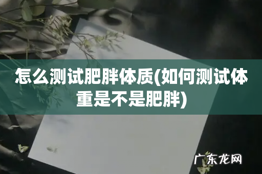 如何测试体重是不是肥胖 怎么测试肥胖体质