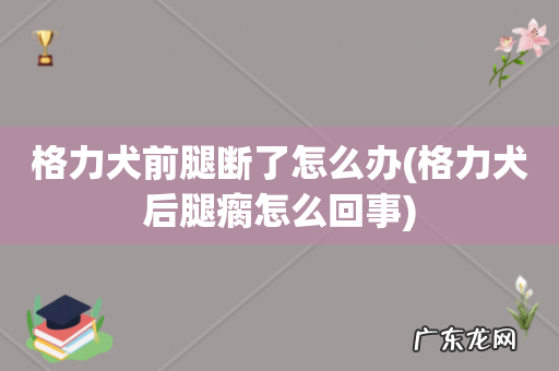 格力犬后腿瘸怎么回事 格力犬前腿断了怎么办