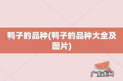 鸭子的品种大全及图片 鸭子的品种