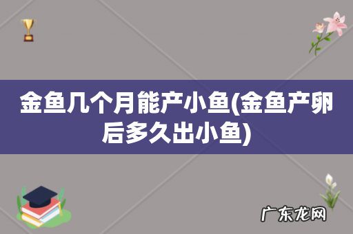 金鱼产卵后多久出小鱼 金鱼几个月能产小鱼