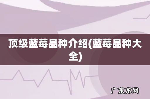 蓝莓品种大全 顶级蓝莓品种介绍