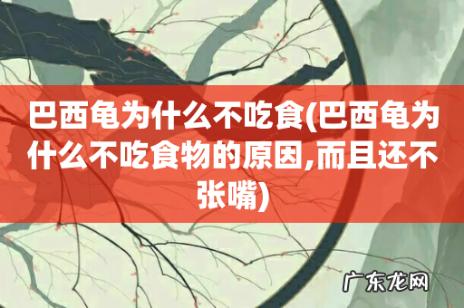 巴西龟为什么不吃食物的原因,而且还不张嘴 巴西龟为什么不吃食