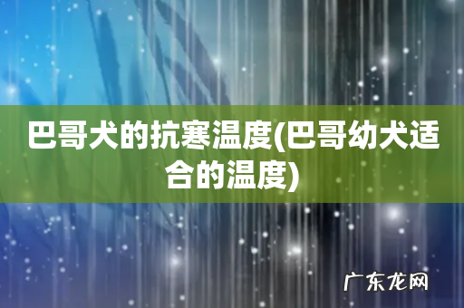 巴哥幼犬适合的温度 巴哥犬的抗寒温度