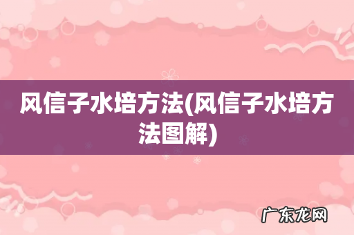 风信子水培方法图解 风信子水培方法