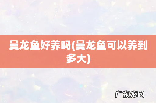 曼龙鱼可以养到多大 曼龙鱼好养吗