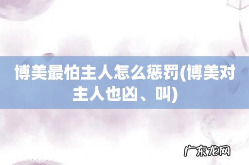博美对主人也凶、叫 博美最怕主人怎么惩罚