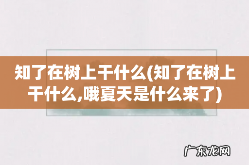 知了在树上干什么,哦夏天是什么来了 知了在树上干什么