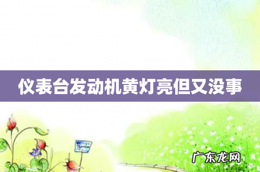 仪表台发动机黄灯亮但又没事