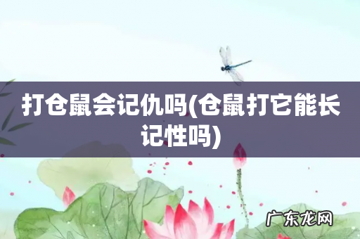 仓鼠打它能长记性吗 打仓鼠会记仇吗