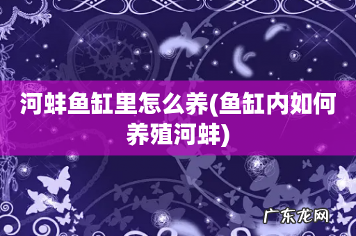 鱼缸内如何养殖河蚌 河蚌鱼缸里怎么养