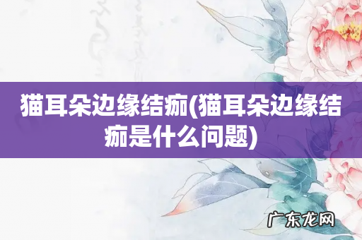 猫耳朵边缘结痂是什么问题 猫耳朵边缘结痂