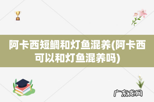 阿卡西可以和灯鱼混养吗 阿卡西短鲷和灯鱼混养