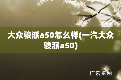 一汽大众骏派a50 大众骏派a50怎么样